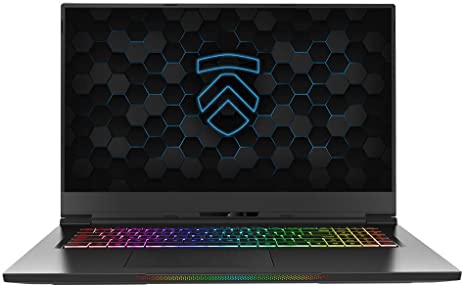 Eluktronics MAX-17 Covert Gamer Notebook PC: Intel i7-10875H 8-Core NVIDIA GeForce RTX 2070 Super 240Hz Calibrated FHD IPS W10 Home 1TB NVMe SSD 32GB DDR4 RAM - World's Lightest 17.3" Gaming Laptop