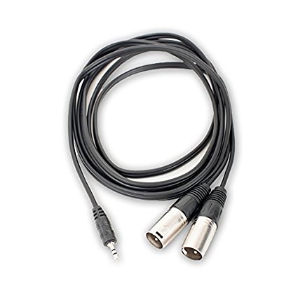 AxcessAbles TRS18-DXLR403M Stereo Breakout Audio Cable, 3.5 mm Stereo TRS to Dual XLR Male Cable (10ft)