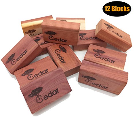 Closet Essentials Red Cedar Clothes Protector and Moth Repellent Storage Accessories 1-Pack (12 Blocks)
