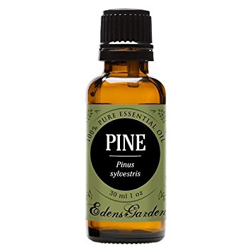 Pine 100% Pure Therapeutic Grade Essential Oil by Edens Garden- 30 ml