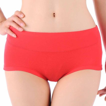 HOEREV Womens Comfort Middle Waist Bamboo Fiber Brief Panty Pack of 3