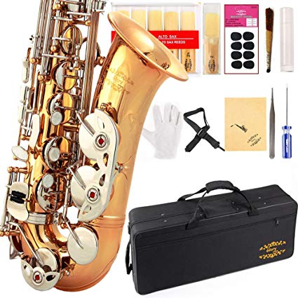 Glory Gold/Silver keys E Flat Alto Saxophone with 11reeds,8 Pads cushions,case,carekit-More Colors with Silver or Gold keys