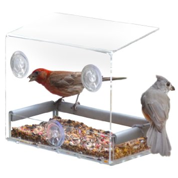 Petfusion Tranquility Window Bird Feeder in PREMIUM LUCITE ACRYLIC I Removable Tray II 3 Perches III Squirrel Resistant