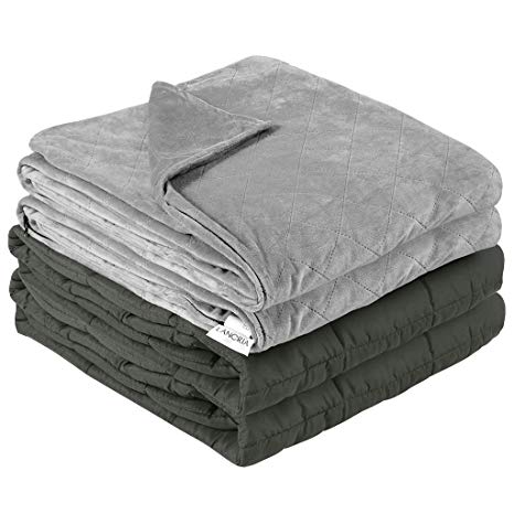 LANGRIA Weighted Blanket 60x80 Inches, 15 lbs with Removable Super Soft Minky Cover and Premium Glass Beads Filling for Adults and Children, Sleeping Heavy Blanket for Bed Sofa (Queen Size, Gray)