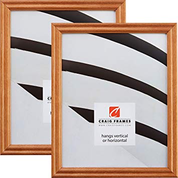 Craig Frames 200ASH105 20 x 30 Inch Picture Frame, Natural Brown, Set of 2