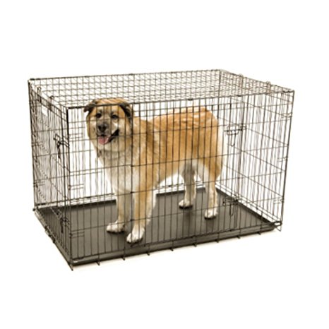 ProValu Double-Door Wire Crate