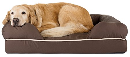 Friends Forever Premium Orthopedic Dog Bed / Lounge, Removable Cover, 100% Suede with Memory-Foam Base, Prestige Edition