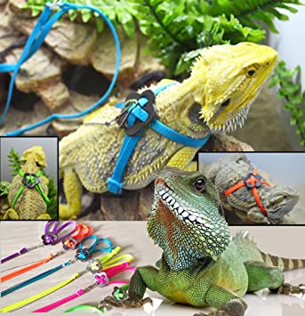 Tzou Adjustable Reptile Lizard Harness Leash Adjustable Multicolor Light (Green)