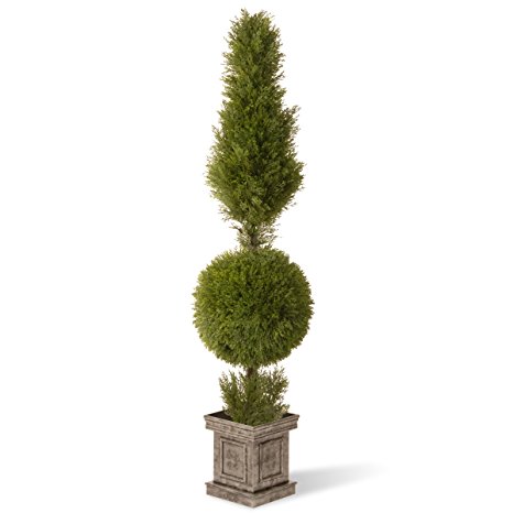 National Tree LCYT4-701-60 Juniper Cone and Ball Topiary with Square Pot, 60-Inch