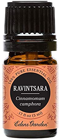 Ravintsara 100% Pure Therapeutic Grade Essential Oil by Edens Garden- 5 ml