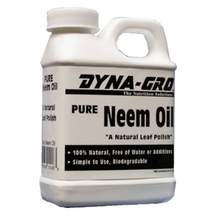 Dyna-Gro Pure Neem Oil Natural Leaf Polish 8 oz