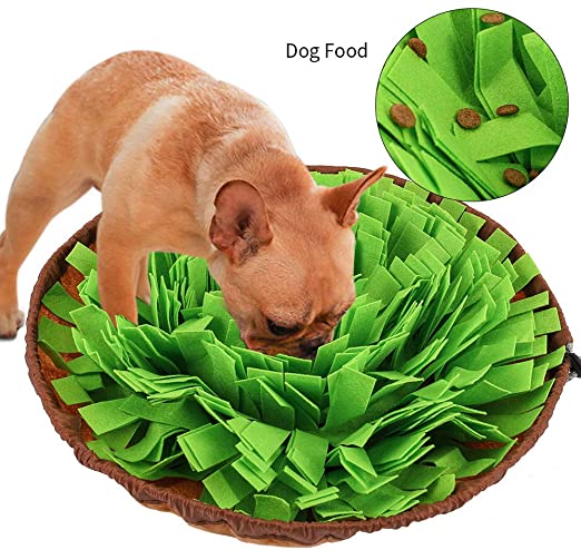 FREESOO Snuffle Mat for Dogs Pet Feeding Mat Puppy Training Pad Puzzle Toys (#1 Green)