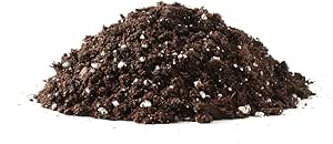 Bonsai Tree Soil All Purpose Blend - CZ Grain Brand 100% Organic All Natural Great for Fast Growing Bonsai Trees (2 Quarts = One 11 Inch Bonsai Pot) Pot Not Included