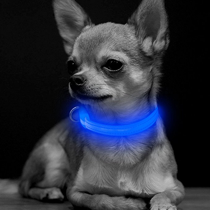 BSeen LED Dog Collar, USB Rechargeable Flashing XS Adjustable Light Up Reflective Pet Safety Collar for Small Dogs& Cats