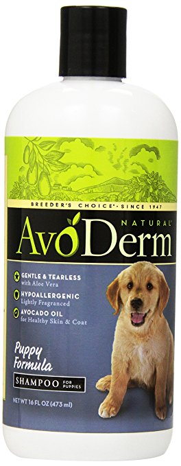 AvoDerm Natural Puppy Formula Shampoo