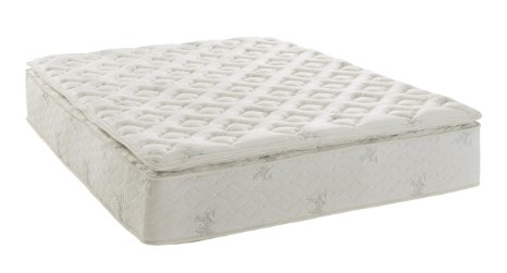 Signature Sleep 13 Independently Encased Coil Mattress Queen