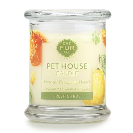 Pet House Candle - Fresh Citrus - CLICK TO SEE ALL 12 FRAGRANCES - Natural Soy Wax - Long-lasting - Paraffin Free - Jar Candle - Pet Odor Eliminator Candle - Non-Toxic