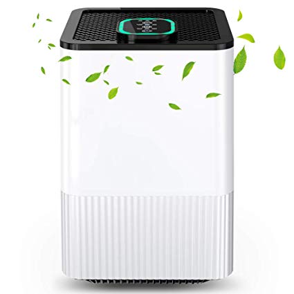 4-in-1 Air Purifier with Real HEPA Filter & Ionizer, Domestic Air Filter with Air Quality Indicator and Timer, Capture Smoke, Dust, Pollen, Animal Hair, etc.
