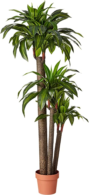 Amazon Basics Artificial Dracaena Tree with Plastic Faux Terracotta Pot, 60-Inch