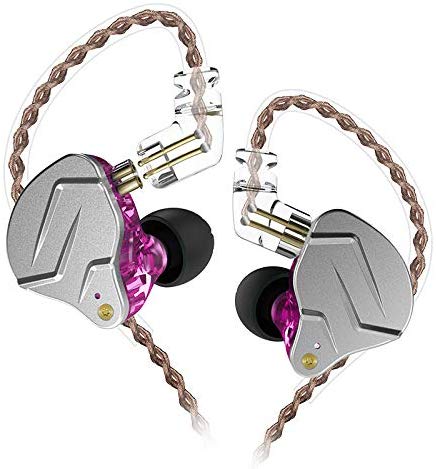 ZSN Pro Dual Drivers 1DD 1BA in Ear Earphones, Earbuds Hybrid 1Balanced Armature and 1Dynamic Drivers Headphones with Metal Panel(No Mic, Purple)