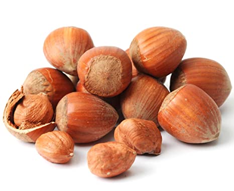 Oregon Farm Fresh Snacks In Shell Hazelnuts - 26 oz