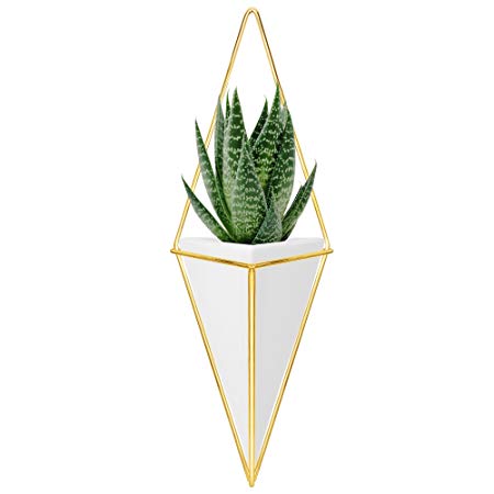 Nellam Ceramic Planter - Modern Geometric Hanging Wall Pot with Brass Frame - Large Mounted Decorative Vase & Container for Indoor Plants & Succulents - Potter for Flower, Herbs, Vegetable Planting