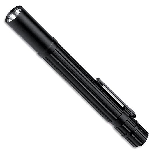 LiteXpress LX404071 Pen Power 101 Electric Torch with 1 High-Performance Nichia LED with Luminous Power up to 33 Lumen ANSI-Standard Engine Rating Black