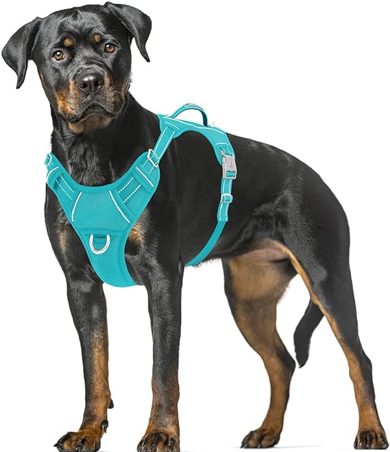 BARKBAY No Pull Dog Harness Large Step in Reflective Dog Harness with Front Clip and Easy Control Handle for Walking Training Running with ID tag Pocket(Ocean Blue,XL)