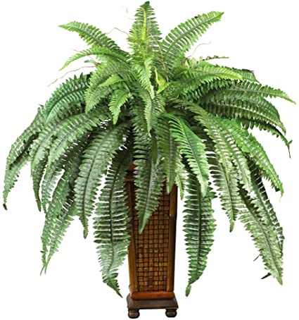 Nearly Natural 6553 Boston Fern with Wood Vase Decorative Silk Plant, Green,12" x 12" x 35"