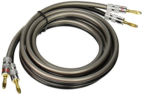 Silverback 12 AWG 259 Strand Speaker Wire with Banana Plugs, 6 Feet