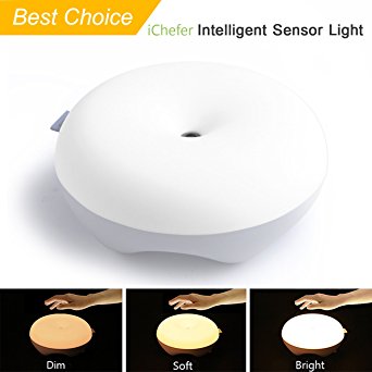 Intelligent Motion Sensing Donut Shape LED Magic Sensor Lamp with USB Charger for Kids, Baby Gift, Living Room, Bedroom, Reading, Outdoor (White)