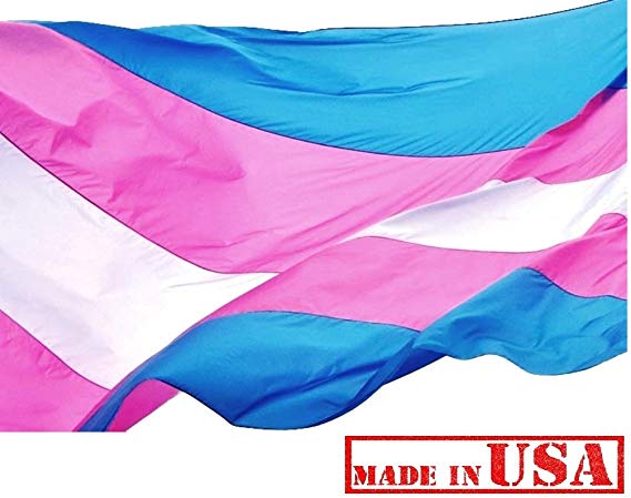 US Flag Factory 3'x5' Transgender Pride Flag (Sewn Stripes) Outdoor SolarMax Nylon - Made in America (3'x5')