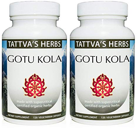 Gotu Kola Full Spectrum Holistic Extract - Enhance Memory Focus & Cognition 240 Vcaps (2 Pack -120 ct..) 2 Month Supply - Tattva's Herbs
