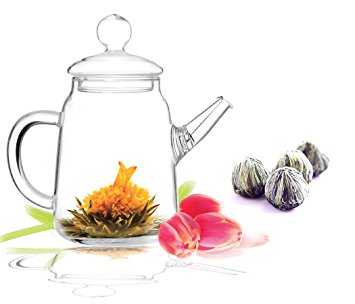 Tea Beyond Blooming Teapot Gift Set Duo Assorted GFS2002