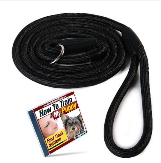Dog Whisperer Style Slip Training Leash Lead Collar AND How To Train My Puppy Fast Track System DVD - Instant Trainer - Dog Training British Leash and Collar in One - Same Style Used by Professional Dog Trainer Trey Stevens other Dog Trainers