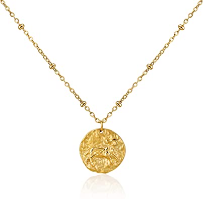 Moronly Zodiac Necklaces for Women 12 Constellation Necklace Stainless Steel Horoscope Astrology Chain Necklace 14K Gold Plated Jewelry Hypoallergenic…
