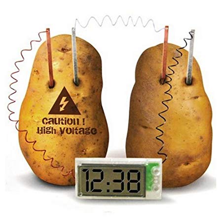 Kasstino Potato Clock Novel Green Science Project Experiment Kit Kids Lab Home School Toy