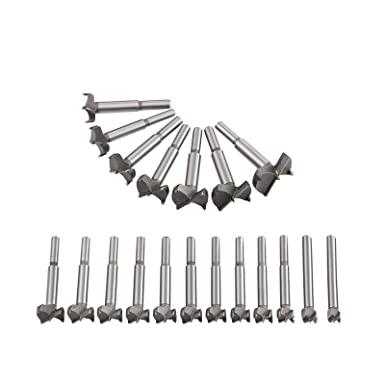 flintronic Brocas Forstner, 19PCS (15mm ~ 40mm) Brocas Set de Acero al Tungsteno Titanium Recubierto, Fresadora Herramienta para Perforadora, Corte Agujero en Carpintería para Madera