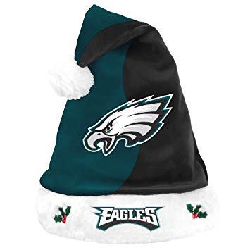 NFL Football Team Logo Basic Holiday Plush Santa Hat