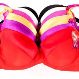Sofra Womens 6 Push Up Bras Lot Basic Solid Colors Satin Detail