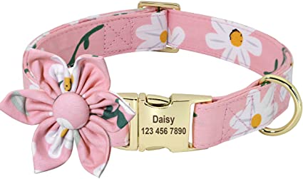 Beirui Custom Flower Girl Dog Collar for Female Dogs- Floral Pattern Engraved Pet Collars with Personalized Gold Buckle(Daisy , S)