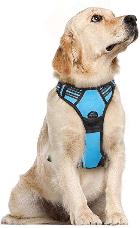 rabbitgoo Dog Harness, No-Pull Pet Harness with 2 Leash Clips, Adjustable Soft Padded Dog Vest, Reflective No-Choke Pet Oxford Vest with Easy Control Handle for Large Dogs, Baby Blue (L, Chest 20.5-36")