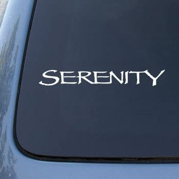 Bargain Max Decals - Serenity Firefly SciFi - Sticker Decal Notebook Car Laptop 8" (White)