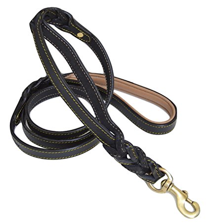 Braided Leather Dog Leash with Traffic Handle