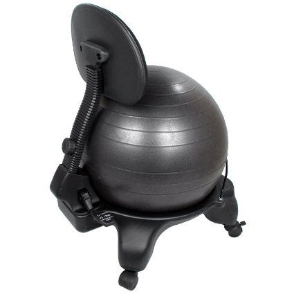 Sivan Adjustable Back Balance Ball Chair with Ball and Pump
