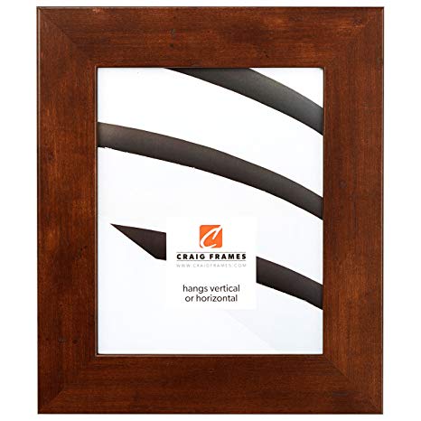 Craig Frames 74060 8 by 12-Inch Picture Frame, Smooth Wrap Finish, 2-Inch Wide, Mocha Brown