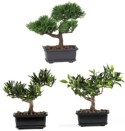 Nearly Natural 4122 Bonsai Decorative Silk Plant Collection, 8.5-Inch, Green, Set of 3