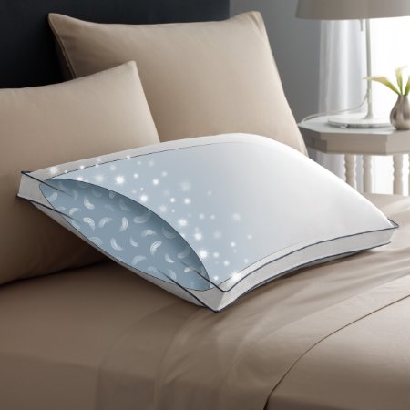 Pacific Coast Double DownAround Medium Pillow 300 Thread Count 550 Fill Power Down & Resilia Feather - King