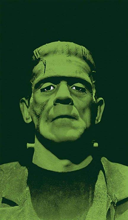 WOWindow Posters Frankenstein's Monster Scary Halloween Window Decoration 34.5"x60" Backlit Poster