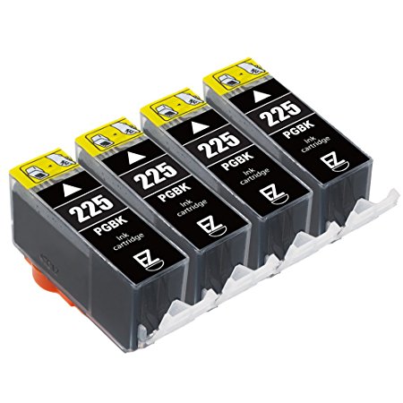 E-Z Ink (TM) Compatible Ink Cartridge Replacement for Canon PGI-225 Black (4 Pack)